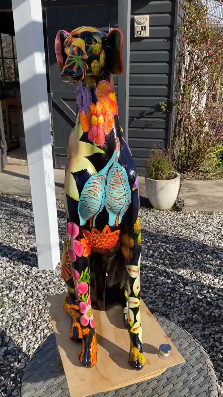Colorful Anatomical Dog Statue