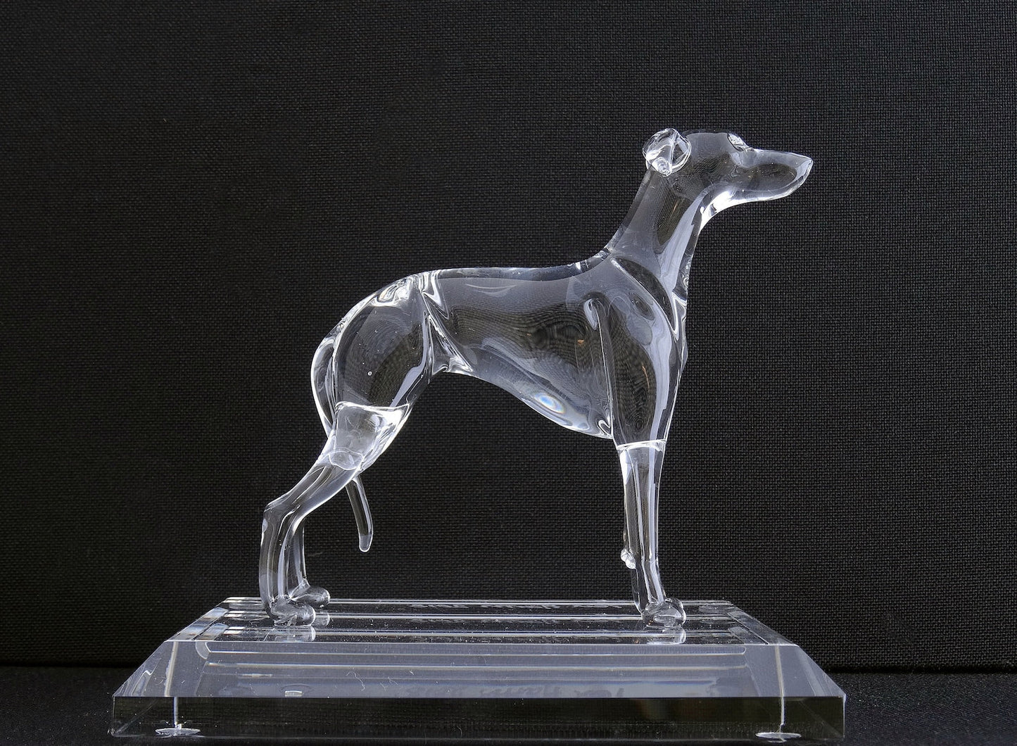 Sighthound