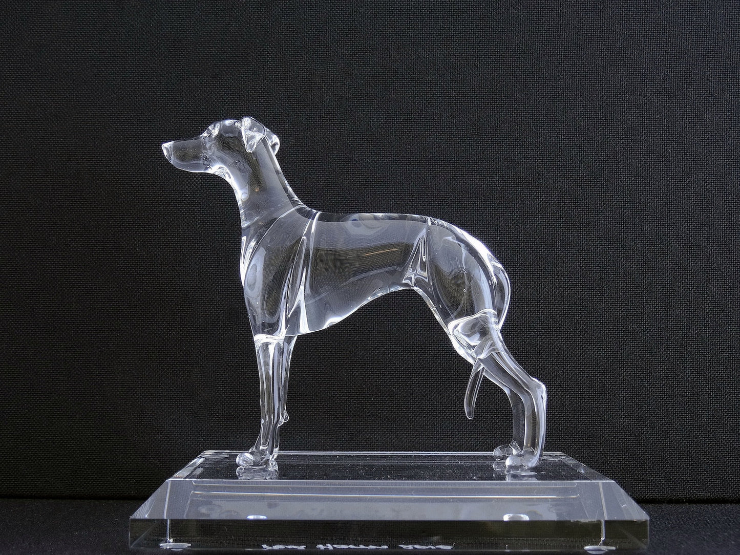 Sighthound