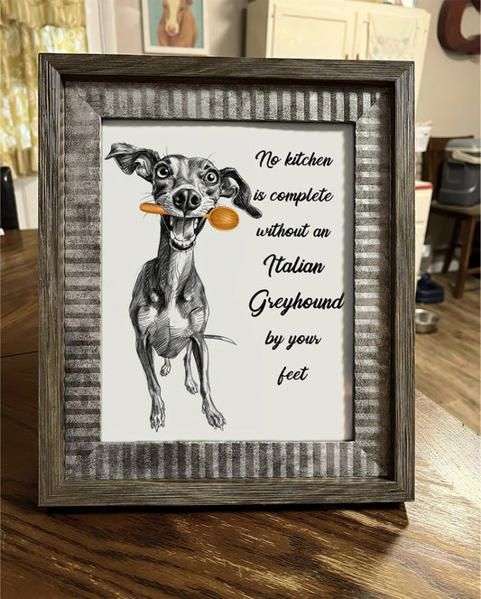 No Kitchen Is Complete Without an Italian Greyhound by Your Feet
