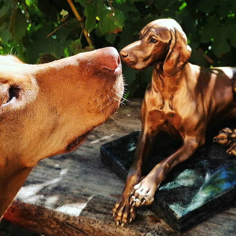 Lying Hungarian Bronze statue