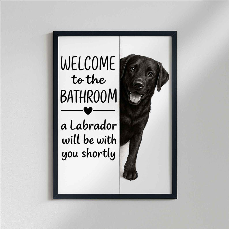 Labrador