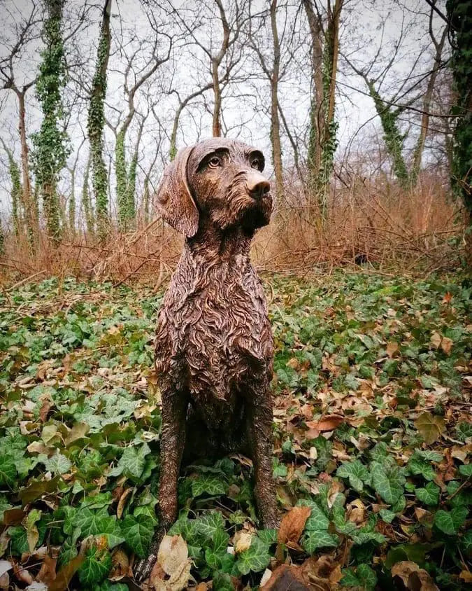 Wirehaired Vizsla Solid Bronze Statue