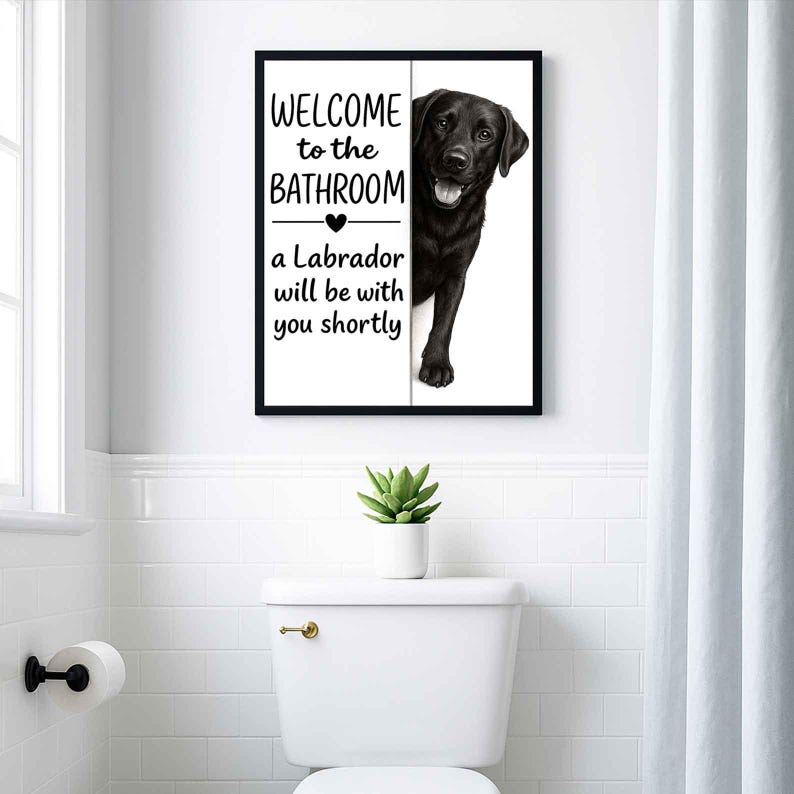 Labrador