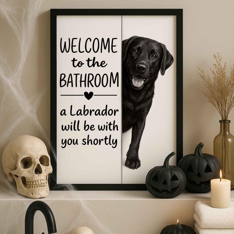 Labrador