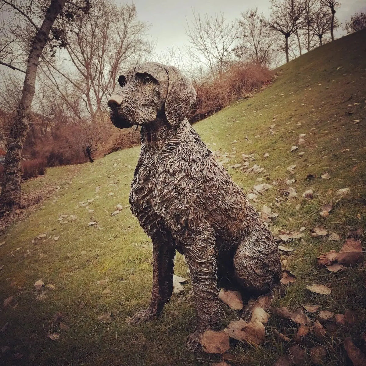 Wirehaired Vizsla Solid Bronze Statue