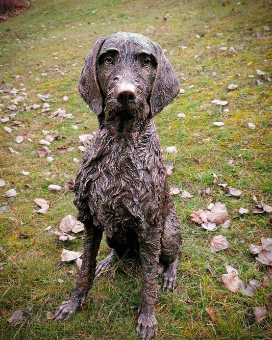 Wirehaired Vizsla Solid Bronze Statue